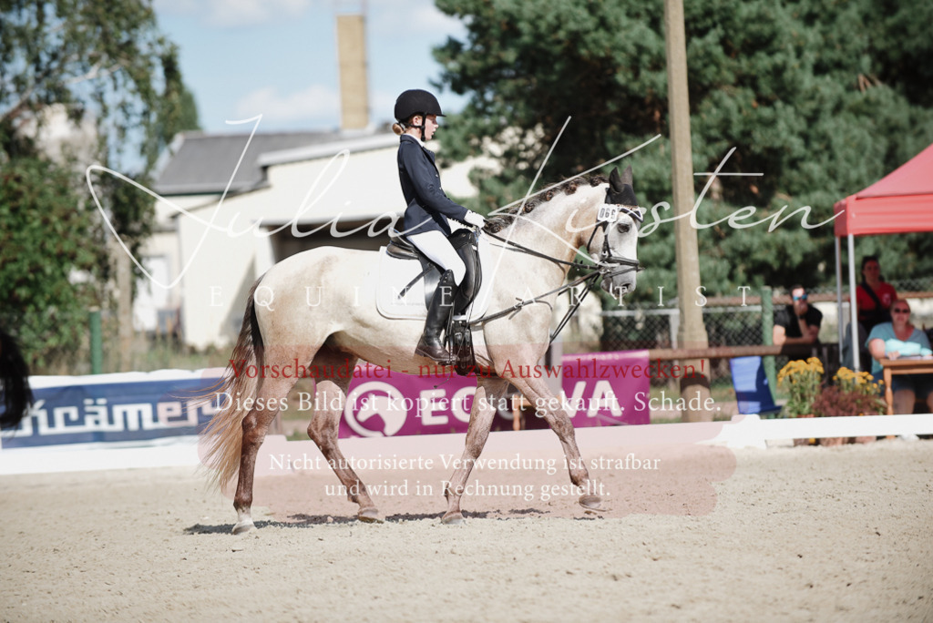 DSC_9936 | Pferde- und Turnierfotografie in Westsachsen. Pferdeportraits, Auftragszeichnungen und intuitive Kunst.