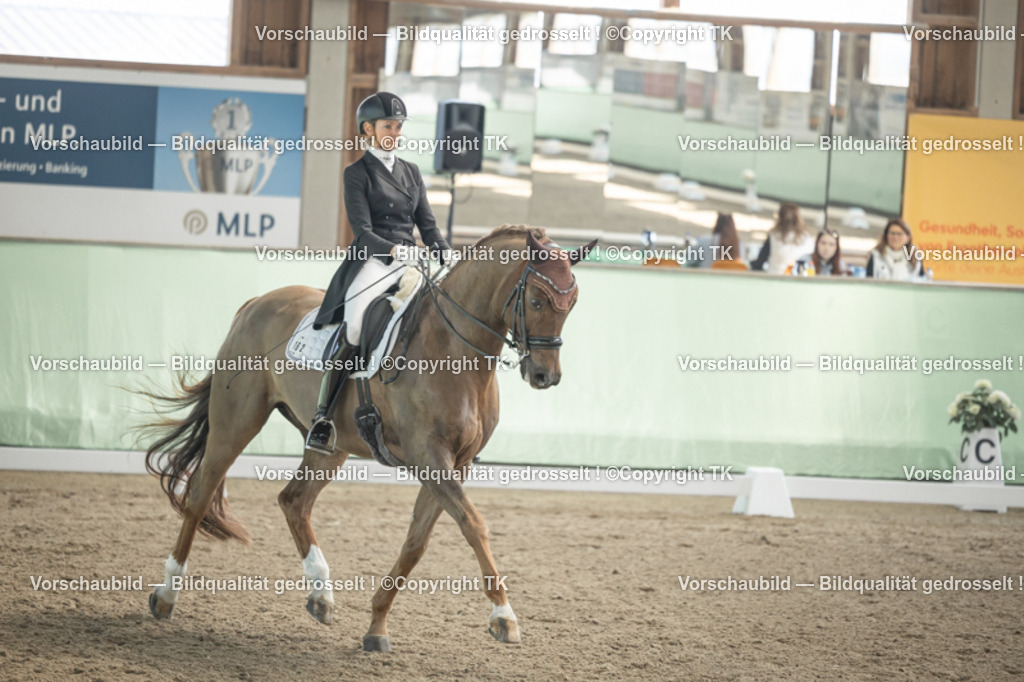 _D5A1245 | Emotionale Pferde- & People-Fotografie rund um Heidelberg, Leimen & Umgebung. Natürliche Fotos von Pferd, Mensch & Familie. Jetzt Termin sichern!