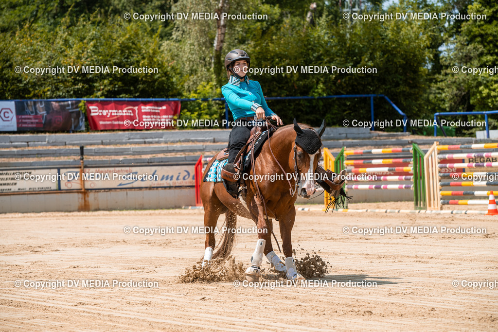 ZS3_9750 | dv-media-shop - Realisiert mit Pictrs.com