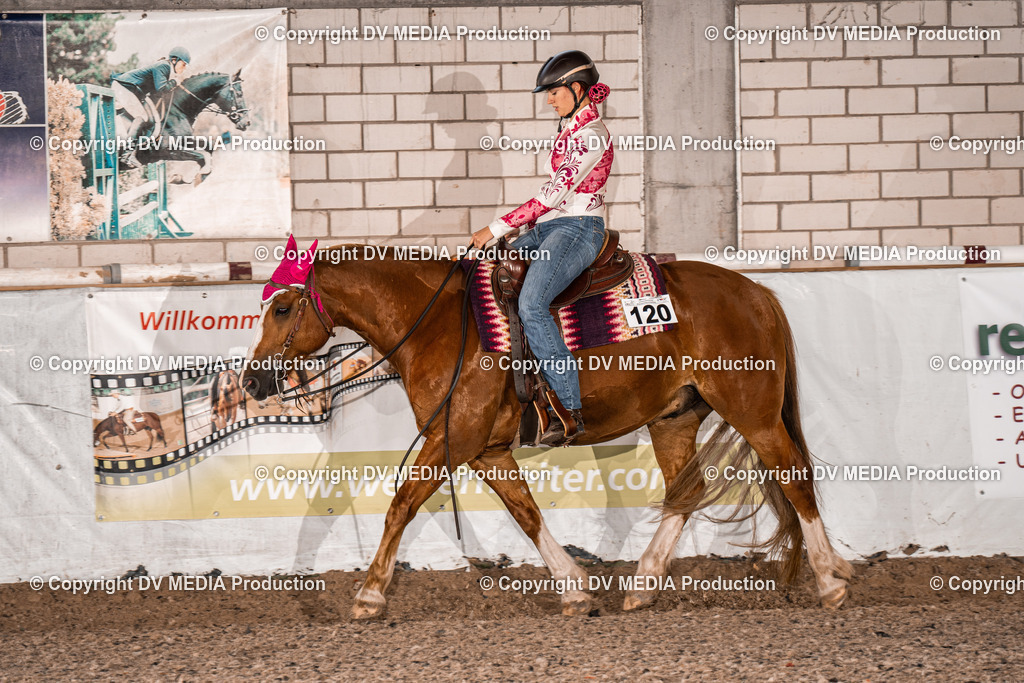 ZH200408 | dv-media-shop - Realisiert mit Pictrs.com