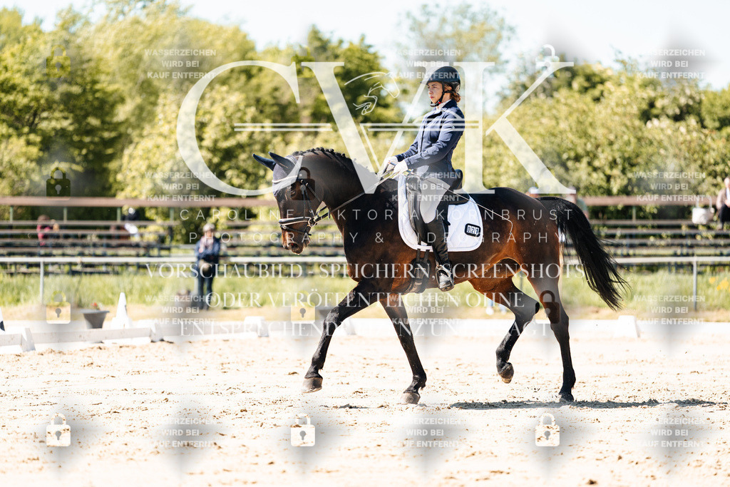 CK905292 | Turnierfotografie Pferdefotografie Trier Rheinland-Pfalz Pferdesport Reitsport Tierfotografie Sportfotografie Pferdevideo Pferdevideografie Equestrianvideography equestrianphotography  - Realisiert mit Pictrs.com
