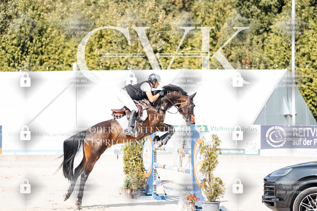 CK901355 | Turnierfotografie Pferdefotografie Trier Rheinland-Pfalz Pferdesport Reitsport Tierfotografie Sportfotografie Pferdevideo Pferdevideografie Equestrianvideography equestrianphotography  - Realisiert mit Pictrs.com