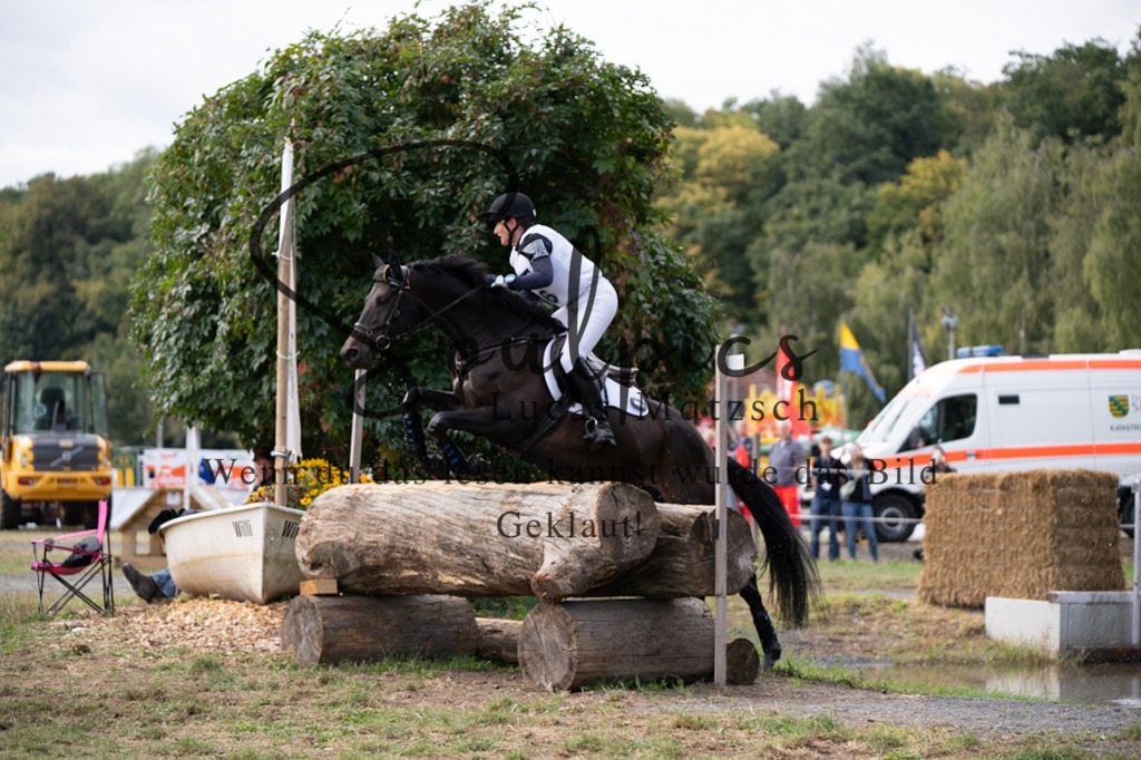 A7V00878 | Pferdefotograf