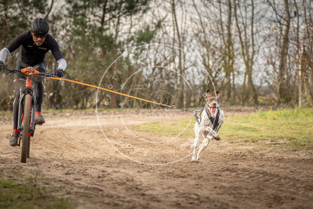 Pfotenfotografie_DV3A7113 | Hundefotografie, Tierfotograf, Pfotenfotografie, Fotoshooting Hund, Hunde Portrait, Hundesport, Hundeportraits, Heideshooting, Hunde, Sportfotograf, Hundefotograf, Turnierhundsport, THS,  - Realisiert mit Pictrs.com