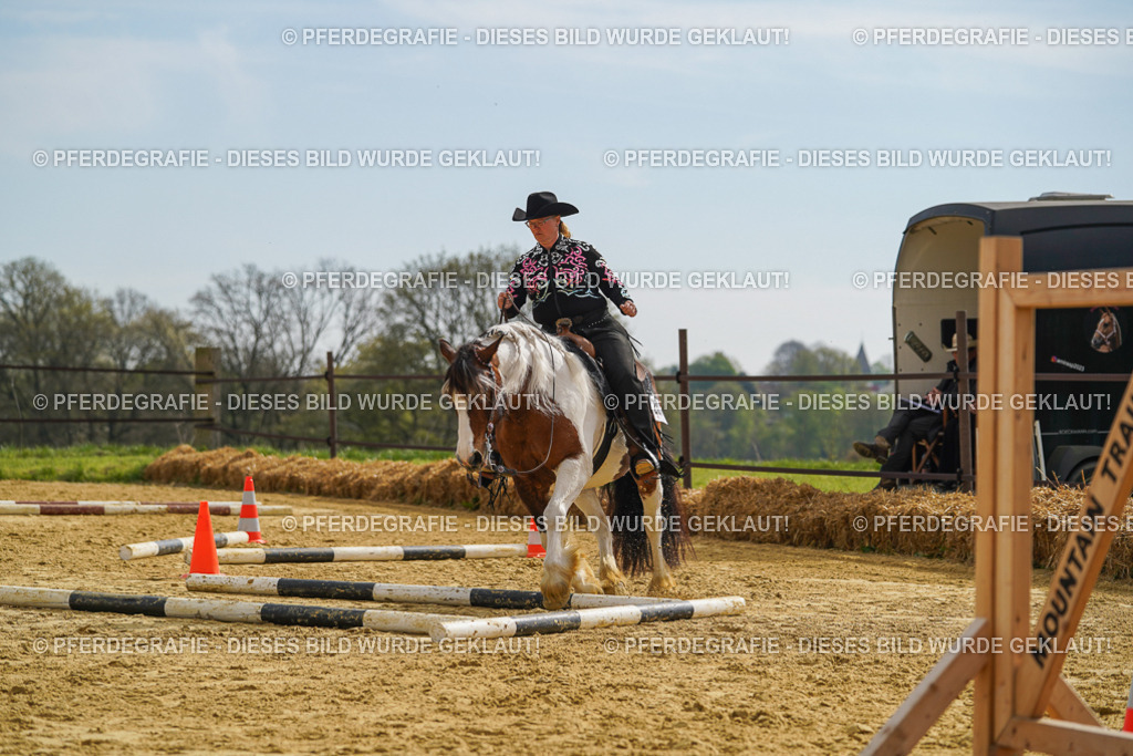 DSC02125 | Pferdegrafie