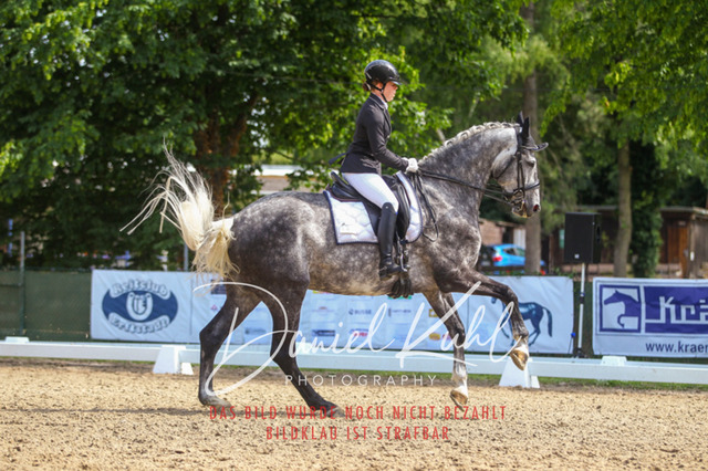 DKP41033 | Turniersportfotografie; Pferdefotografie; Dressurfotografie