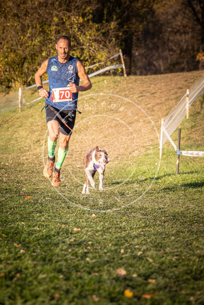CaniXpix_0L8A1065 | Hundefotografie, Tierfotograf, Pfotenfotografie, Fotoshooting Hund, Hunde Portrait, Hundesport, Hundeportraits, Heideshooting, Hunde, Sportfotograf, Hundefotograf, Turnierhundsport, THS,  - Realisiert mit Pictrs.com