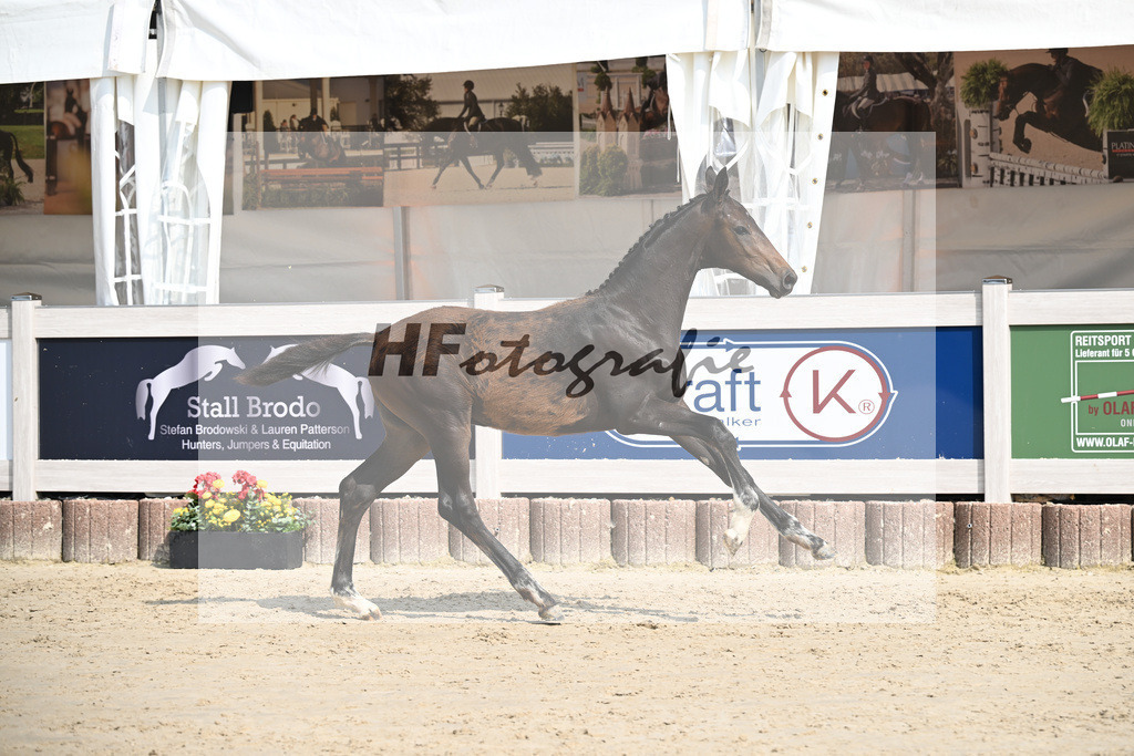 Escaneno x Ganymedes_HF_Amann_12250205 | hf-fotografie - Realisiert mit Pictrs.com
