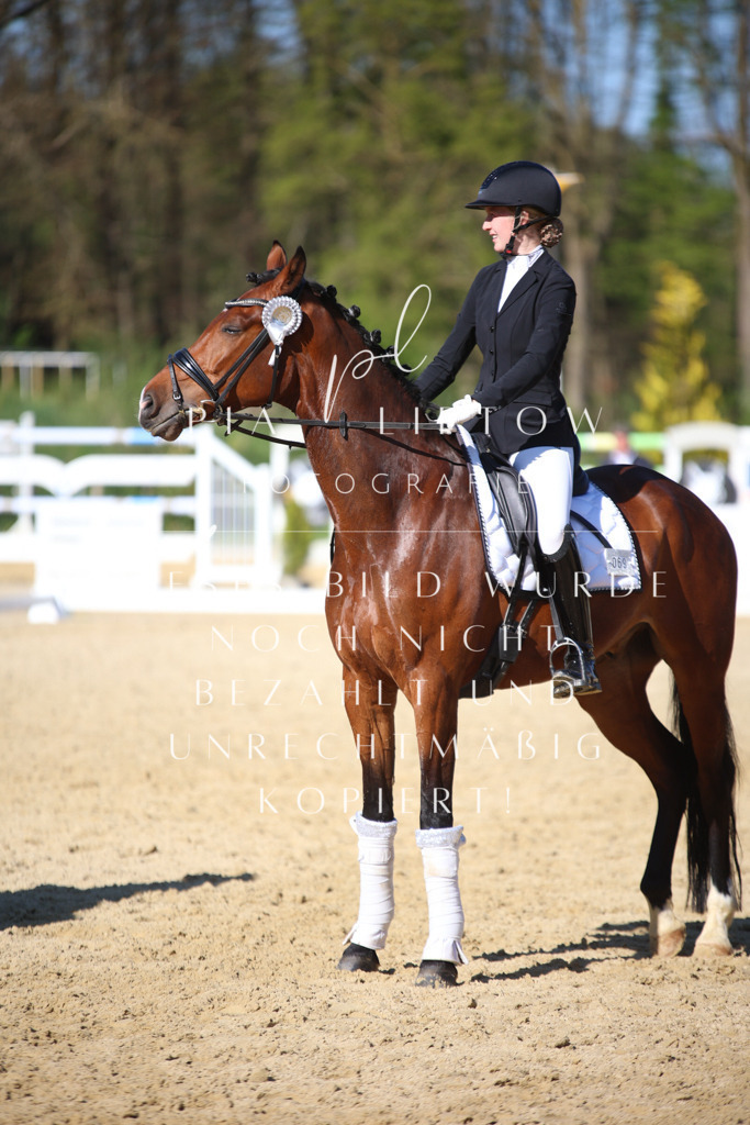 IMGT9122 | pl-fotografie