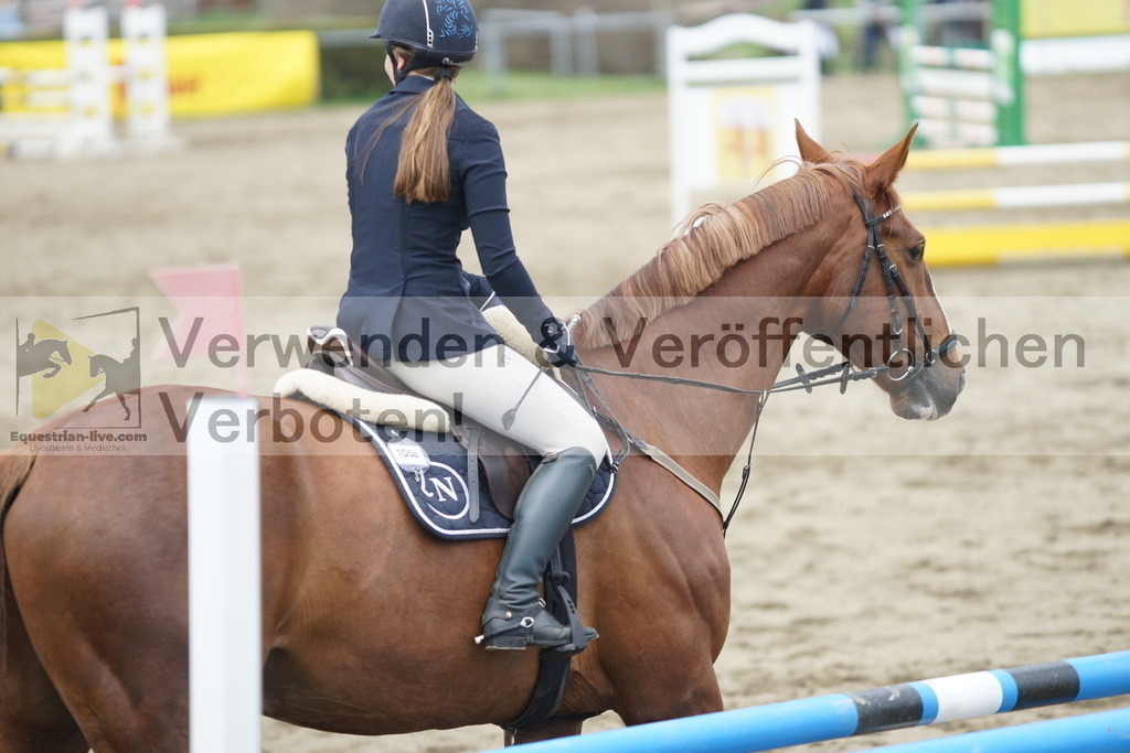 DSC01420 | equestrian-live-com
