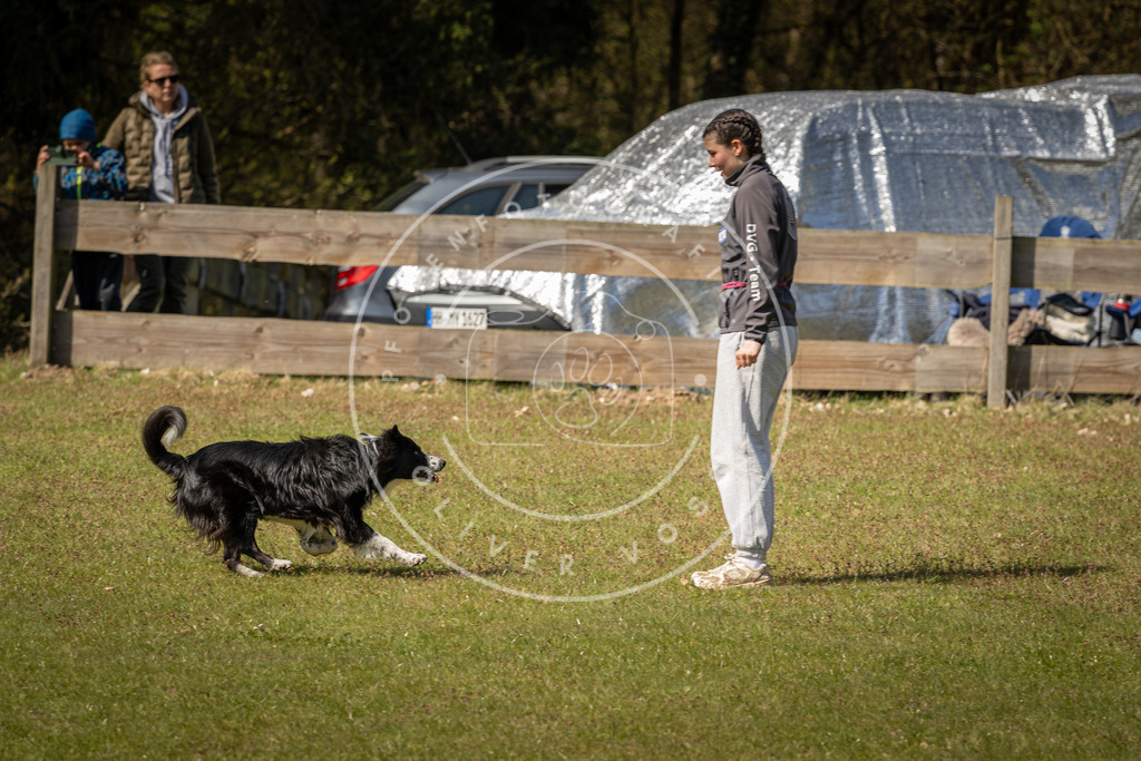 Pfotenfotografie_DV3A1118 | Hundefotografie, Tierfotograf, Pfotenfotografie, Fotoshooting Hund, Hunde Portrait, Hundesport, Hundeportraits, Heideshooting, Hunde, Sportfotograf, Hundefotograf, Turnierhundsport, THS,  - Realisiert mit Pictrs.com
