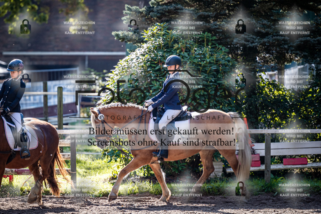 2026-10-Helle-20-4-0007 | Entdecke hochwertige Reitturnierfotos von Foto Oger. Professionell, emotional und authentisch – jetzt Lieblingsmomente im Shop bestellen.Deutschlandweite Turnierfotografie. - Realisiert mit Pictrs.com