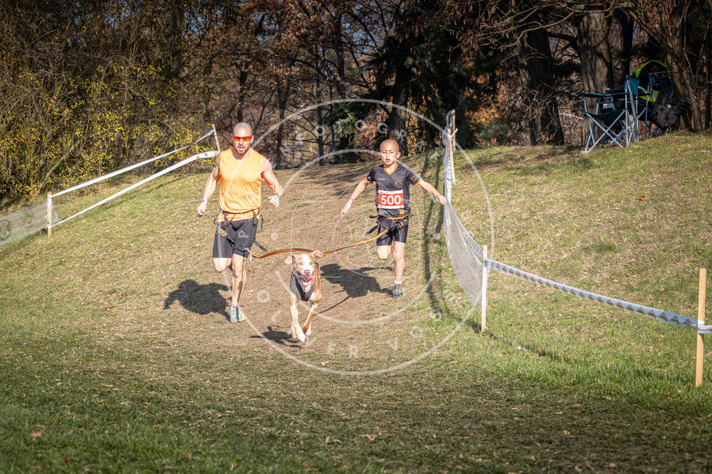 CaniXpix_0L8A8304 | Hundefotografie, Tierfotograf, Pfotenfotografie, Fotoshooting Hund, Hunde Portrait, Hundesport, Hundeportraits, Heideshooting, Hunde, Sportfotograf, Hundefotograf, Turnierhundsport, THS,  - Realisiert mit Pictrs.com