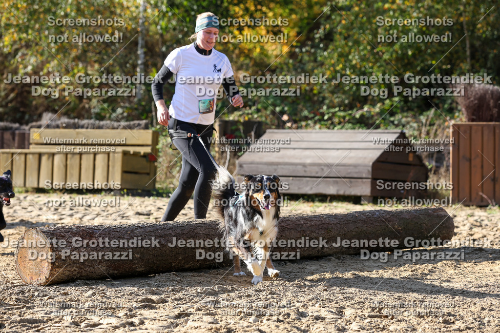 Dog Paparazzi - Strongdog 10-25-6022 | Dog Paparazzi Jeanette Grottendiek Fotografie & Videografie - Realisiert mit Pictrs.com