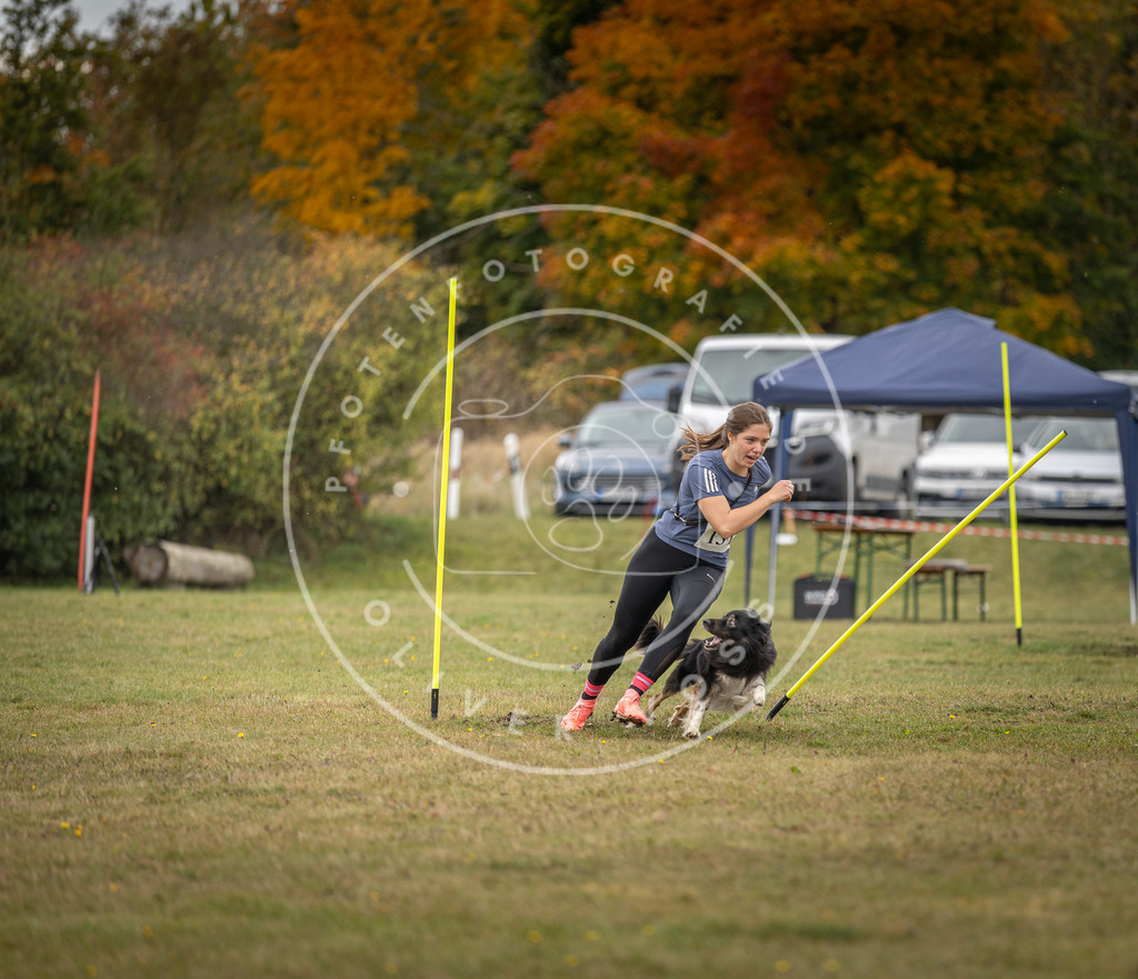 Pfotenfotografie_DV3A7495 | Hundefotografie, Tierfotograf, Pfotenfotografie, Fotoshooting Hund, Hunde Portrait, Hundesport, Hundeportraits, Heideshooting, Hunde, Sportfotograf, Hundefotograf, Turnierhundsport, THS,  - Realisiert mit Pictrs.com