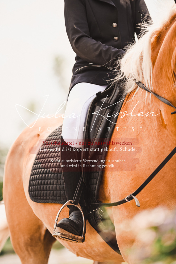 DSC_6342 | Pferde- und Turnierfotografie in Westsachsen. Pferdeportraits, Auftragszeichnungen und intuitive Kunst.