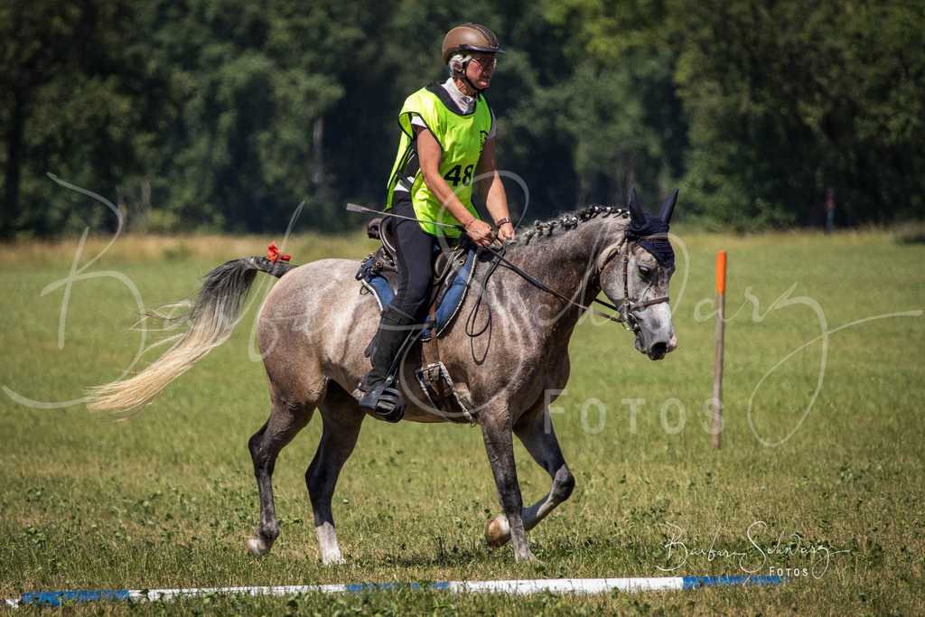 CJP_2026-06-26_27 | Stimmungsvolle Fotografie von Pferden, fotografische Begleitung von Veranstaltungen, Golfturnieren und Distanzritten - Realisiert mit Pictrs.com