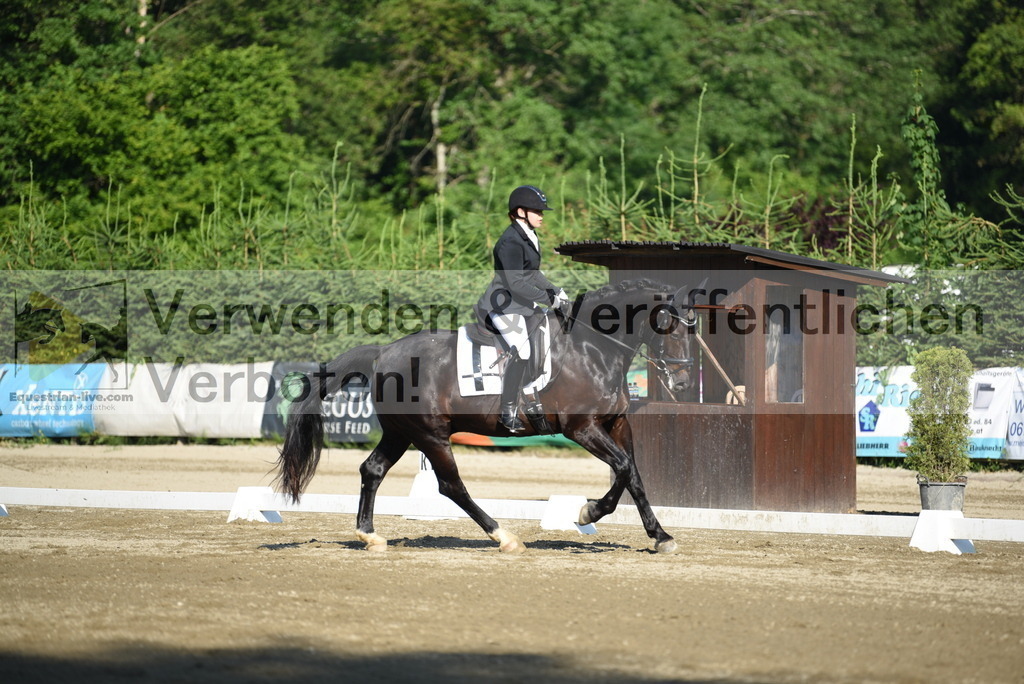 DSC_6892 | equestrian-live-com