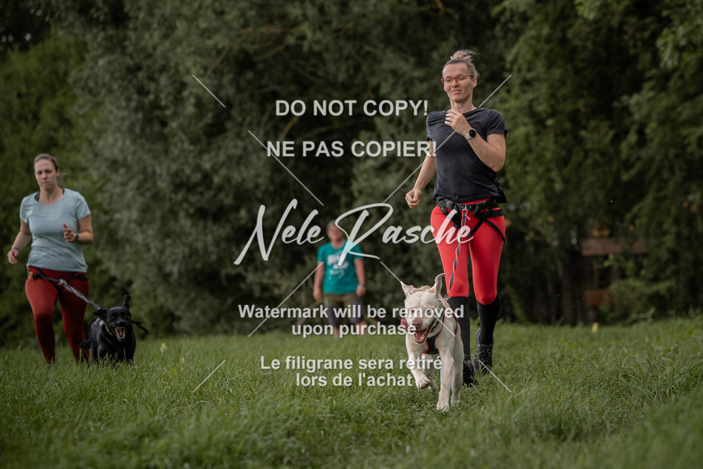 nelerasche_DoN_164 | nelerasche