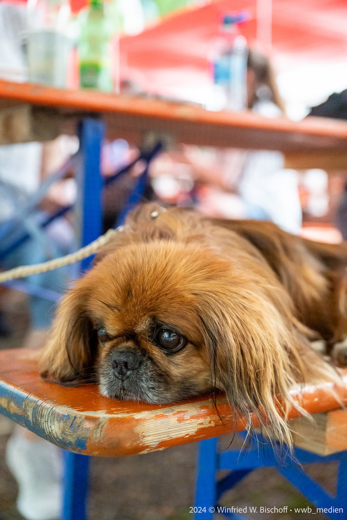 410_DSC_6841 | <Fotografie> <Video> <Film> <Winfried Bischoff> - Realisiert mit Pictrs.com