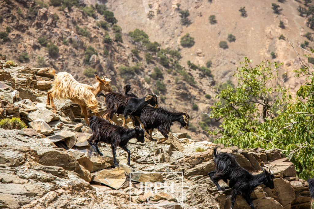 IMG_8208 | jrph - Realisiert mit Pictrs.com