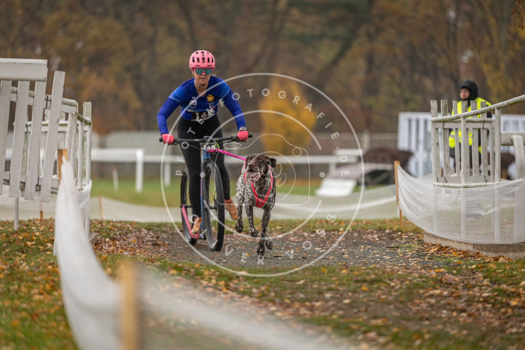 CaniXpix_DV3A8176 | Hundefotografie, Tierfotograf, Pfotenfotografie, Fotoshooting Hund, Hunde Portrait, Hundesport, Hundeportraits, Heideshooting, Hunde, Sportfotograf, Hundefotograf, Turnierhundsport, THS,  - Realisiert mit Pictrs.com