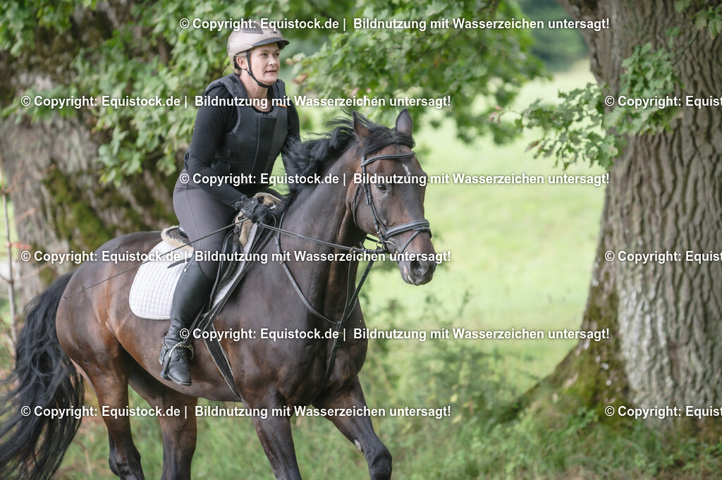20250726_Vielseitigkeitslehrgang-Marbach_0434 | Foto: Thomas Hartig