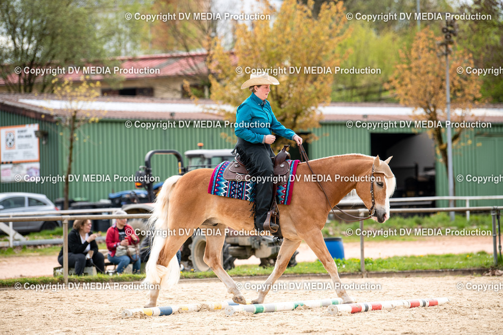 Heiligenwald Tag 1-449 | dv-media-shop - Realisiert mit Pictrs.com