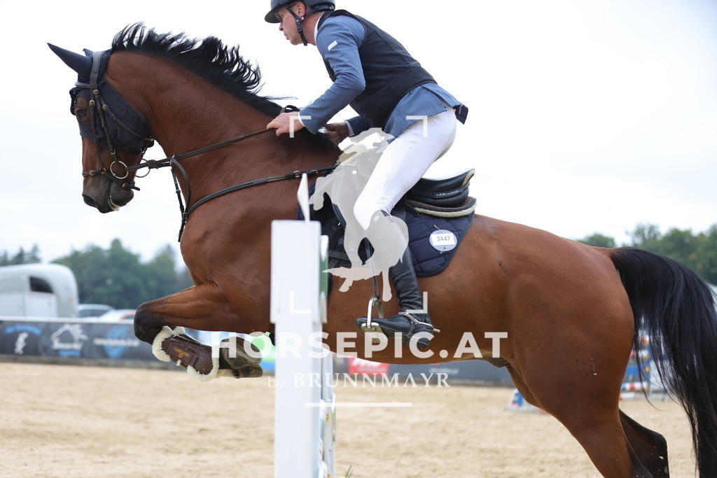 0P6A7162 | Willkommen bei Brunnmayr - Design & Fotografie – Ihrem Spezialisten für Reitturniere und Pferdeveranstaltungen in Oberösterreich, Salzburg und Bayern! Seit über 17 Jahren sind wir leidenschaftlich dabei.
