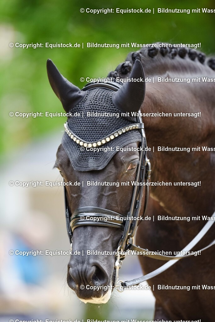 20250608_03_GP-Special-Tour_0585 | Foto: Thomas Hartig