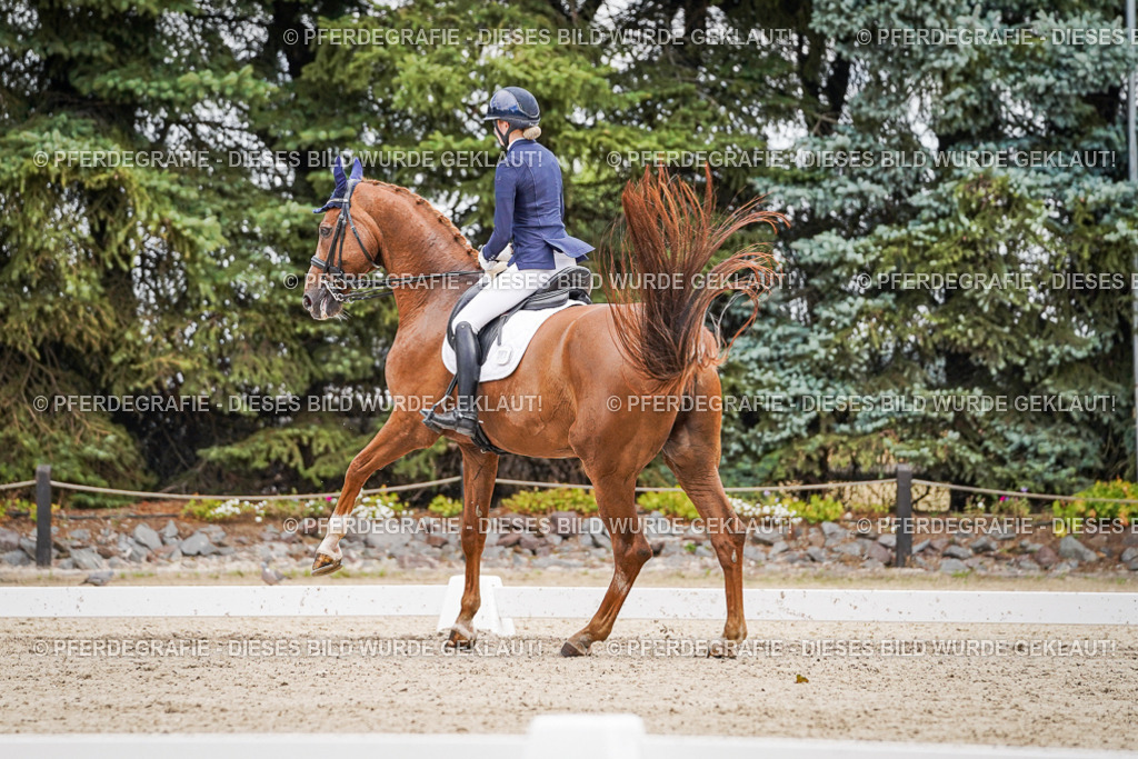 DSC02776 | Pferdegrafie