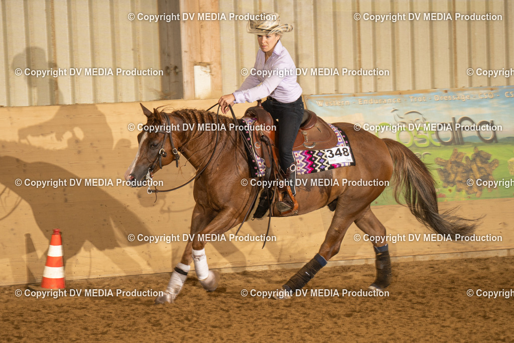 LAU00247 | dv-media-shop - Realisiert mit Pictrs.com