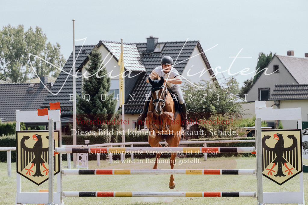 DSC_0645 | Pferde- und Turnierfotografie in Westsachsen. Pferdeportraits, Auftragszeichnungen und intuitive Kunst.
