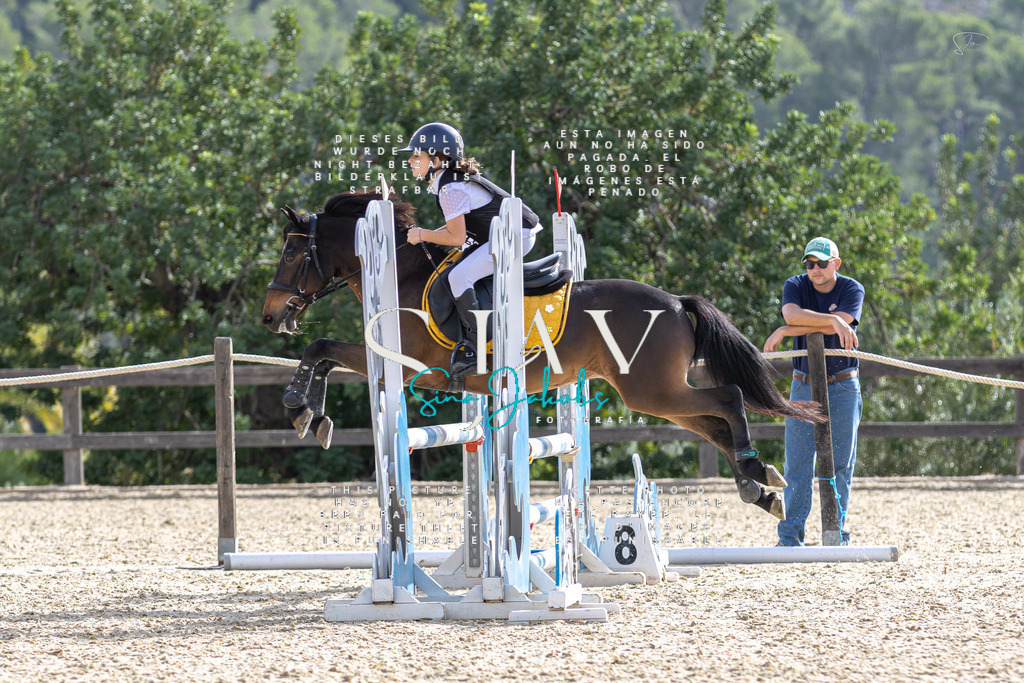 IMG_5868 | s-jay-photography - Realisiert mit Pictrs.com