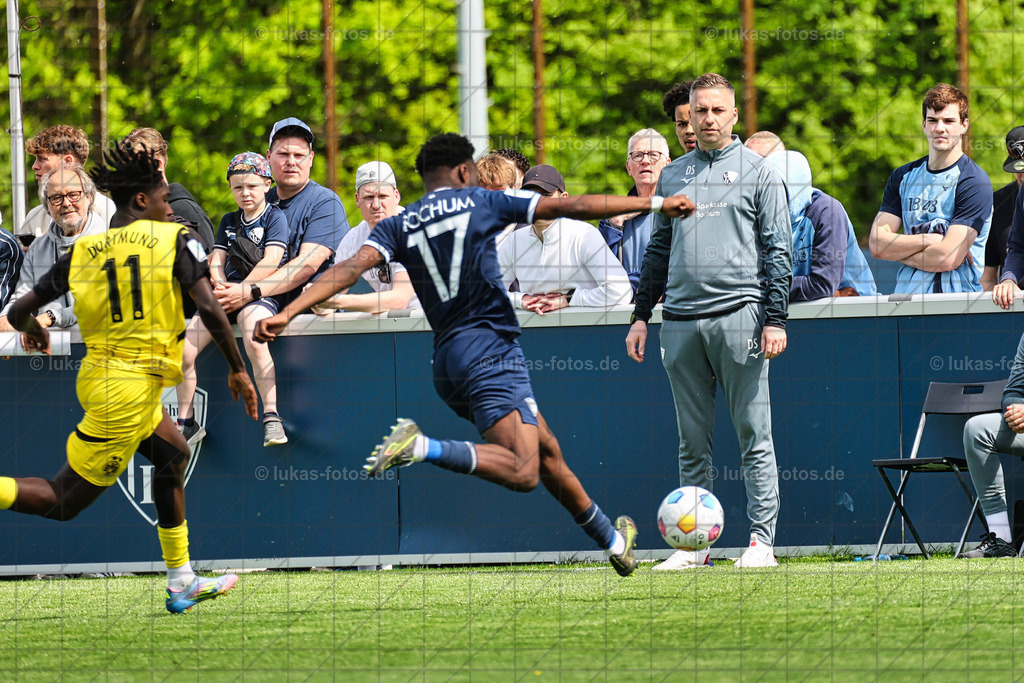 VfL Bochum U19 - Borussia Dortmund | Fotos vom DM-Achtelfinale der U19-Junioren des VfL Bochum gegen Borussia Dortmund.
 - Realisiert mit Pictrs.com