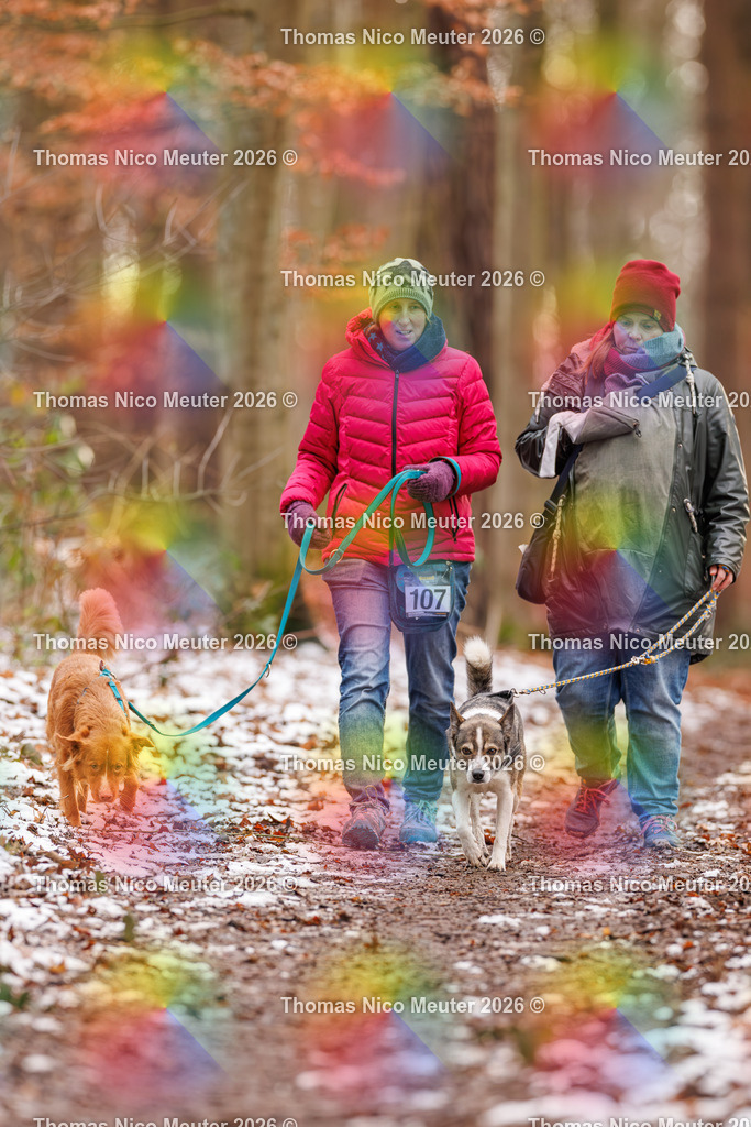 Thomas_Nico_Meuter(C)_223A9456 | Bild von Thomas Nico Meuter - Realisiert mit Pictrs.com