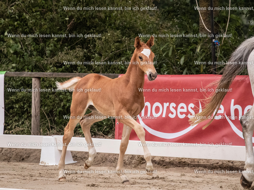 A10I9401 | photographylinaismer - Realisiert mit Pictrs.com