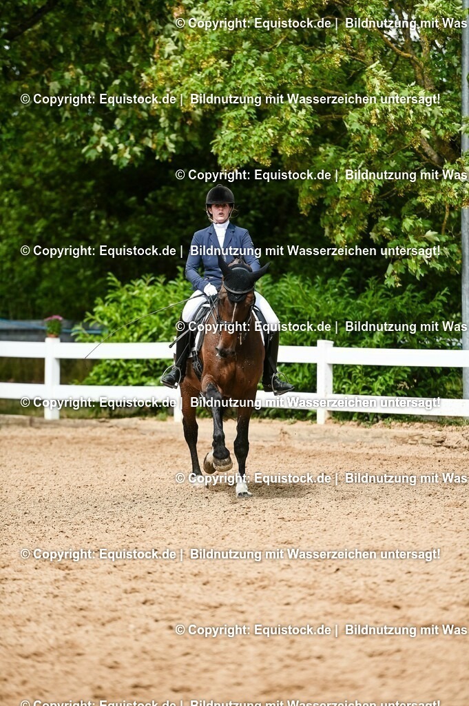 20230716_01_Dressurprüfung Kl.M_0175 | equistock
