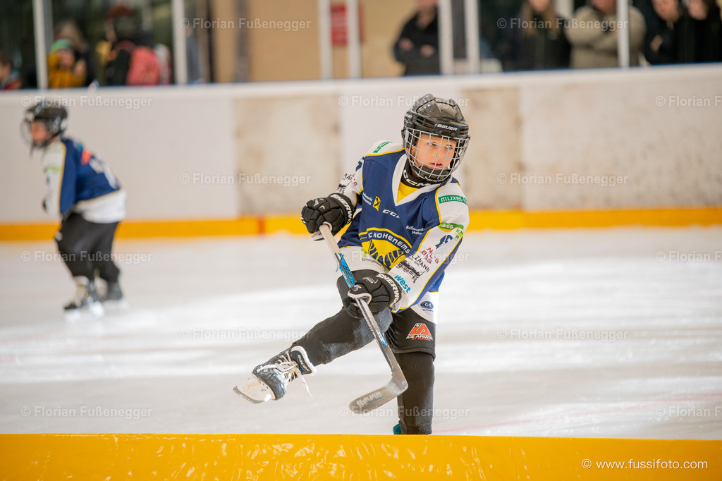 DSC_0959 | "Fussifoto.com – Ihr Ansprechpartner für hochwertige Fotografie! Entdecken Sie kreative Bilder und professionelle Dienstleistungen. Kontaktieren Sie uns für Ihre Projekte!"