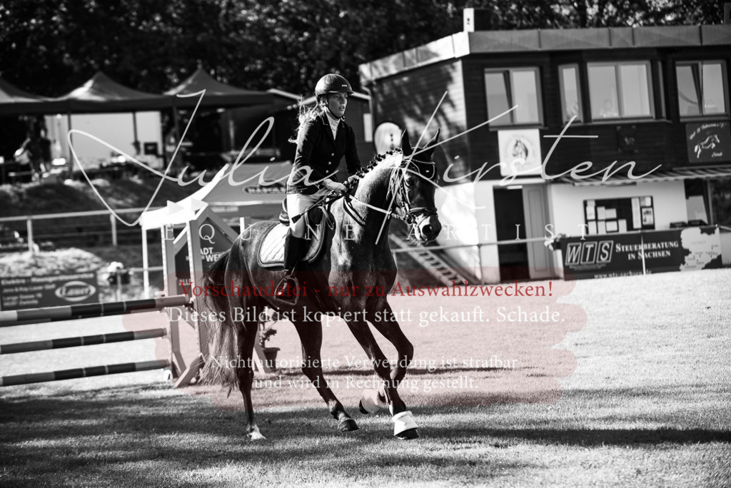 DSC_2185 | Pferde- und Turnierfotografie in Westsachsen. Pferdeportraits, Auftragszeichnungen und intuitive Kunst.