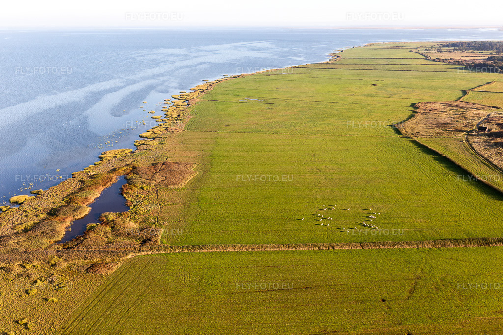 Vue aérienne: Parc national de la mer des Wadden à Fanø dans le département Syddanmark, Danemark. Photo: IMG_118857.jpg prise le 21/09/2019 par Werner Riehm/FLY-FOTO.euRésolution de l'original: 5472 x 3648 px