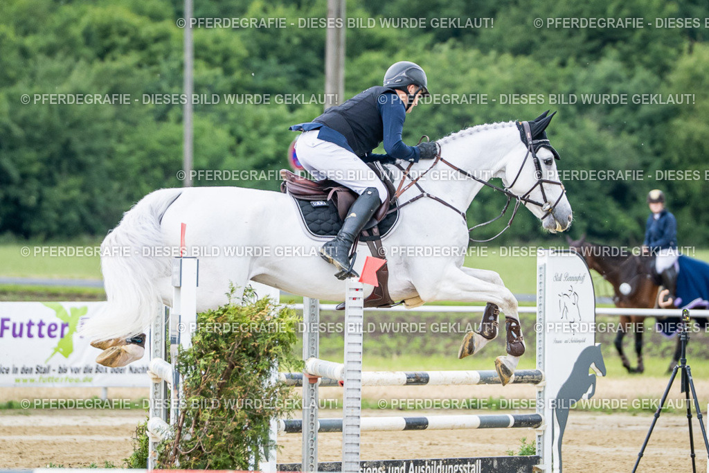 DSC04235 | Pferdegrafie