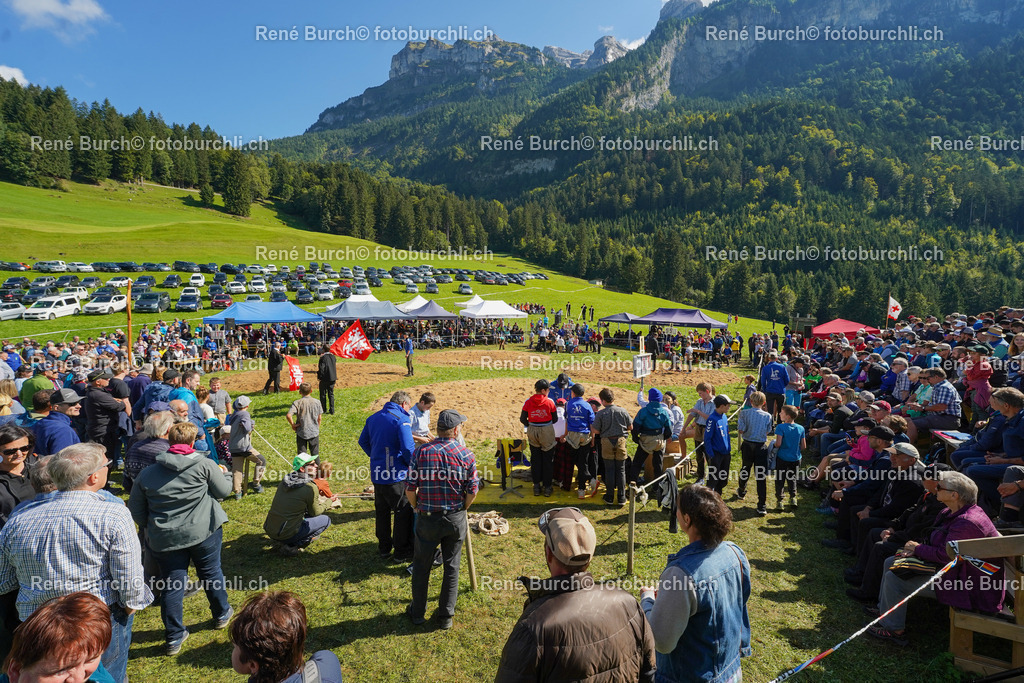 DSC01228 | René Burch leidenschaftlicher Fotograf aus Kerns in Obwalden.  Hier finden sie Sport, Landschaft und Natur Fotografie.
 - Realisiert mit Pictrs.com