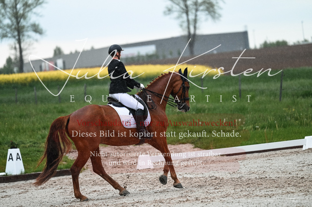 DSC_4436 | Pferde- und Turnierfotografie in Westsachsen. Pferdeportraits, Auftragszeichnungen und intuitive Kunst.