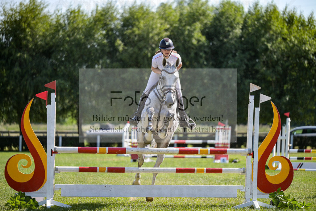 Reitturnier Voxtrup | Entdecke hochwertige Reitturnierfotos von Foto Oger. Professionell, emotional und authentisch – jetzt Lieblingsmomente im Shop bestellen.Deutschlandweite Turnierfotografie. - Realisiert mit Pictrs.com