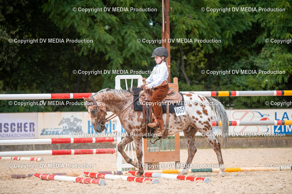 EWP_6630 | dv-media-shop - Realisiert mit Pictrs.com