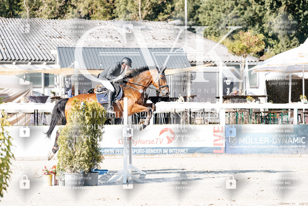 CK907454 | Turnierfotografie Pferdefotografie Trier Rheinland-Pfalz Pferdesport Reitsport Tierfotografie Sportfotografie Pferdevideo Pferdevideografie Equestrianvideography equestrianphotography  - Realisiert mit Pictrs.com