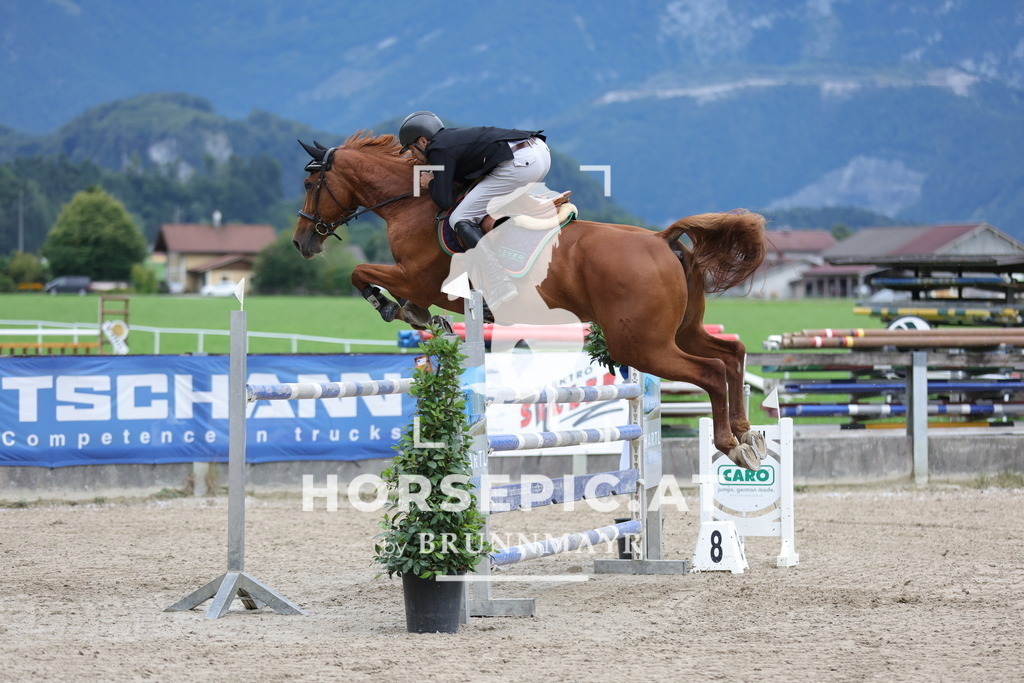 0P6A3393 | Willkommen bei Brunnmayr - Design & Fotografie – Ihrem Spezialisten für Reitturniere und Pferdeveranstaltungen in Oberösterreich, Salzburg und Bayern! Seit über 17 Jahren sind wir leidenschaftlich dabei.