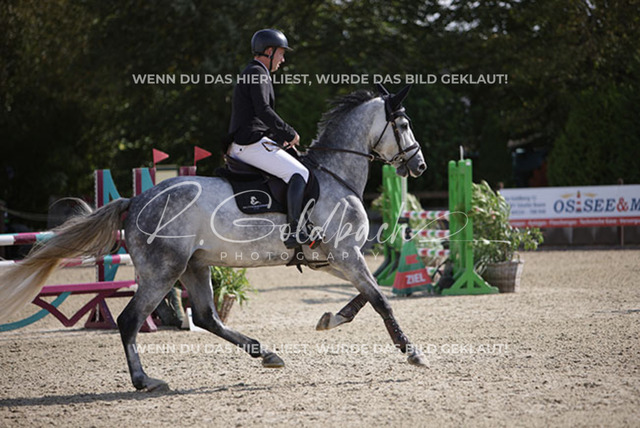 1J2A6244Klas-Kristoff Kudlinski_ Steendieks Dear Lenny_ Kn915_ Havekost | Foto- und Videografie für alles rund ums Pferd. Hochwertige Bilder und Videos vom Spring- und Dressurreiten, Voltigieren & mehr. Jetzt aktuelle Veranstaltungen und Preise im Shop ansehen. - Realisiert mit Pictrs.com
