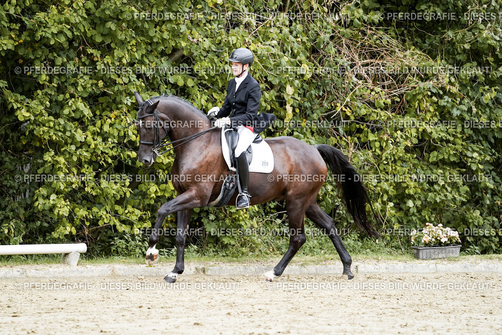 DSC05886 | Pferdegrafie